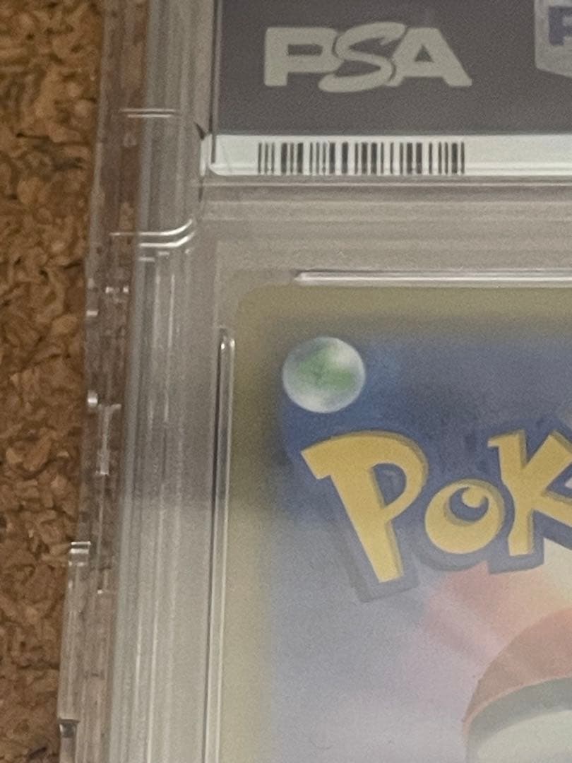 カスミのおねがいpsa10