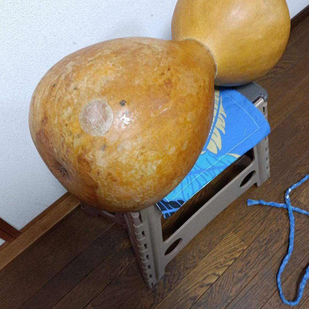 イプヘケ　フラの楽器