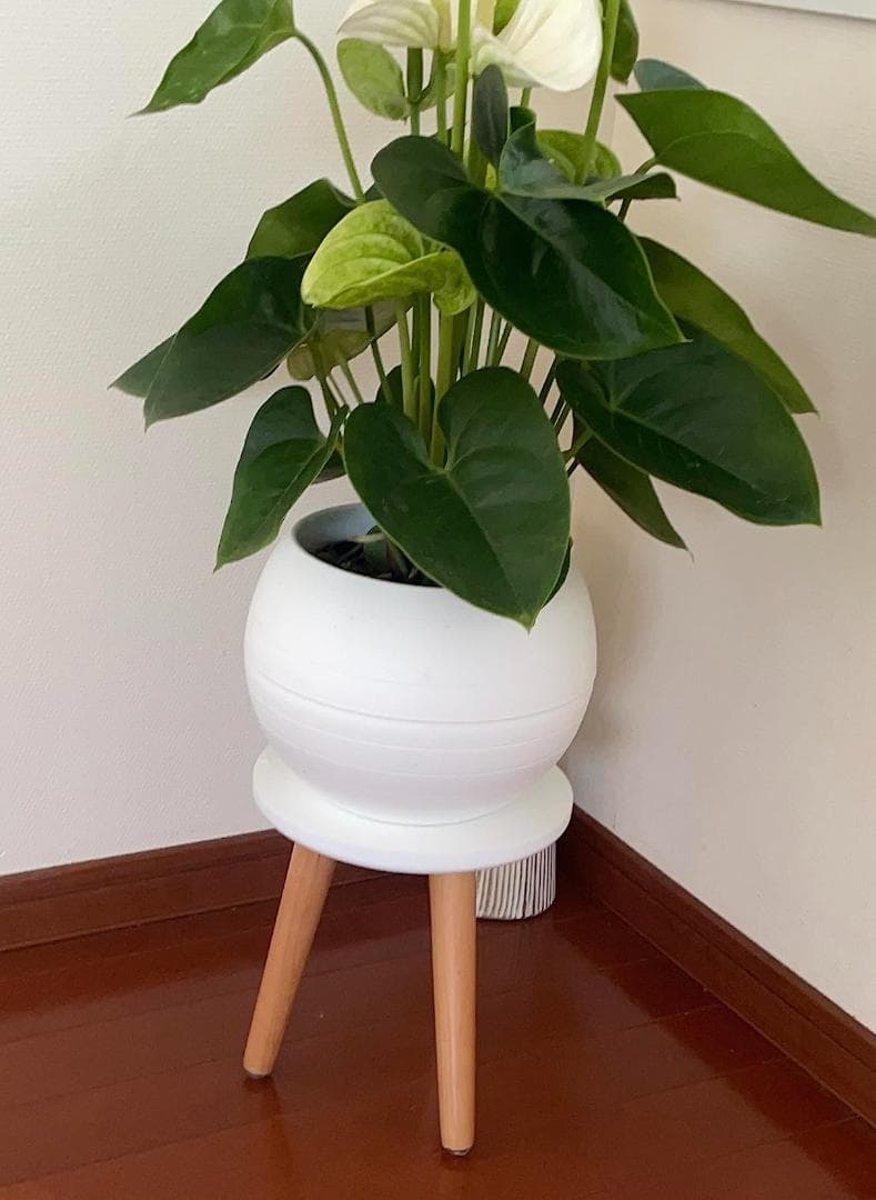 2個 スツール 木製 組立式 フラワースタンド 花台 プランタースタンド