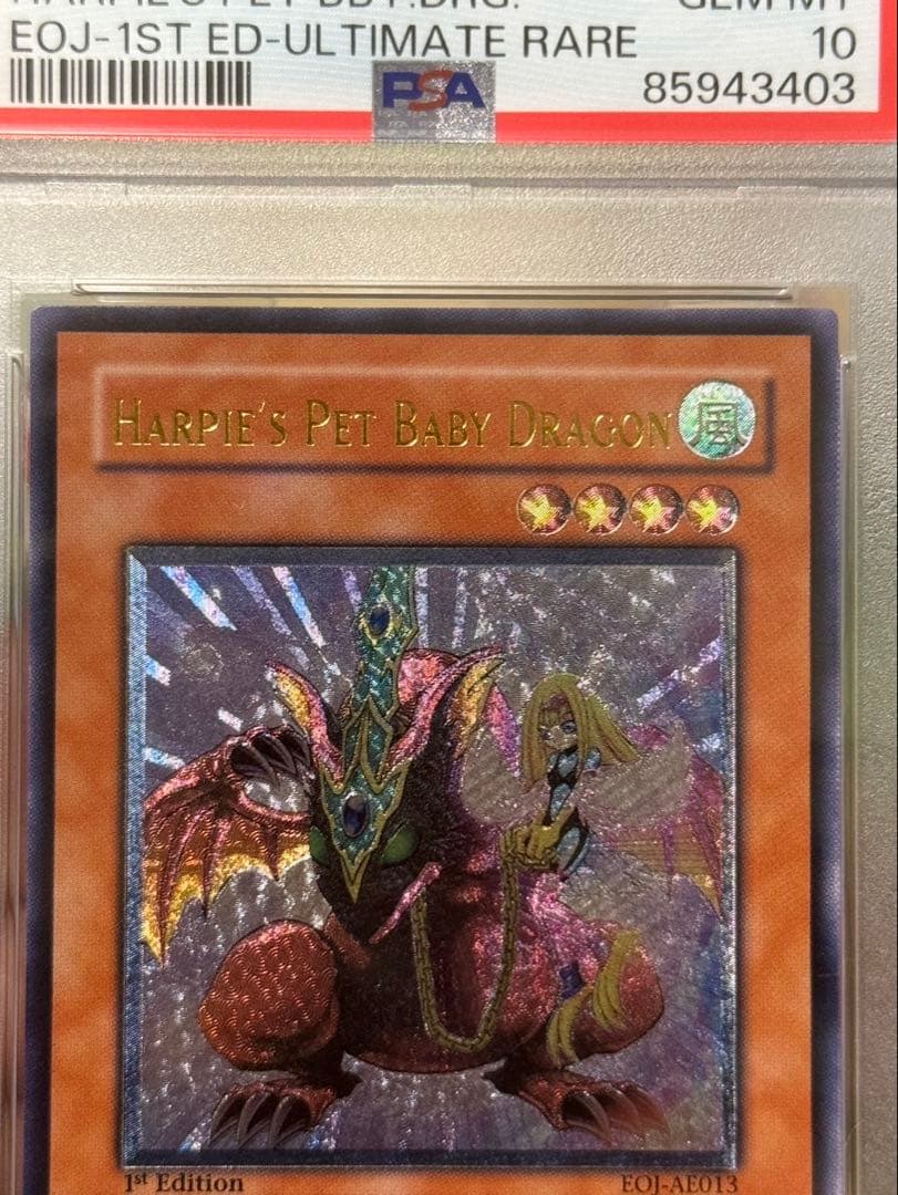 遊戯王　ハーピィズペット仔竜　旧アジアレリーフ　psa10