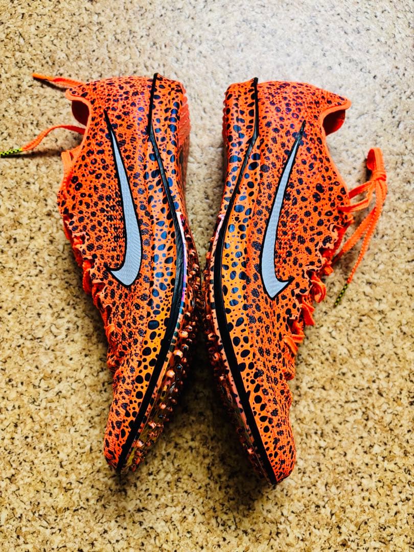 NIKE ドラゴンフライ2　DRAGONFLY2 28.0cm