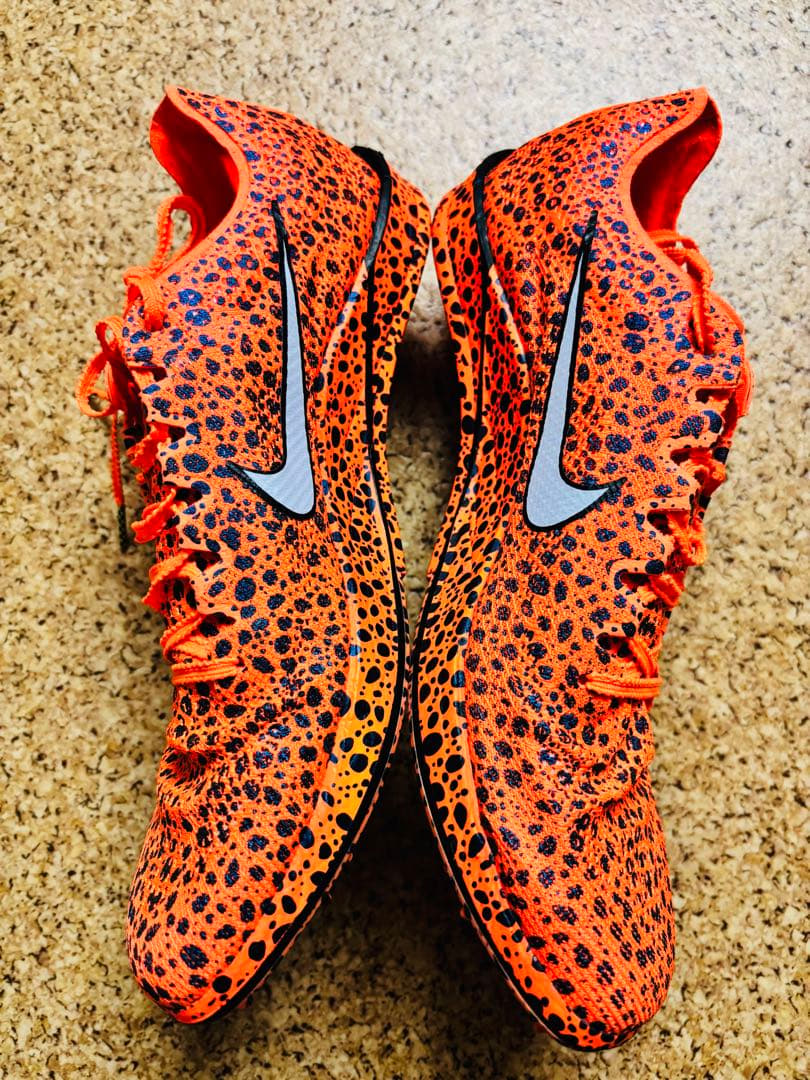 NIKE ドラゴンフライ2　DRAGONFLY2 28.0cm