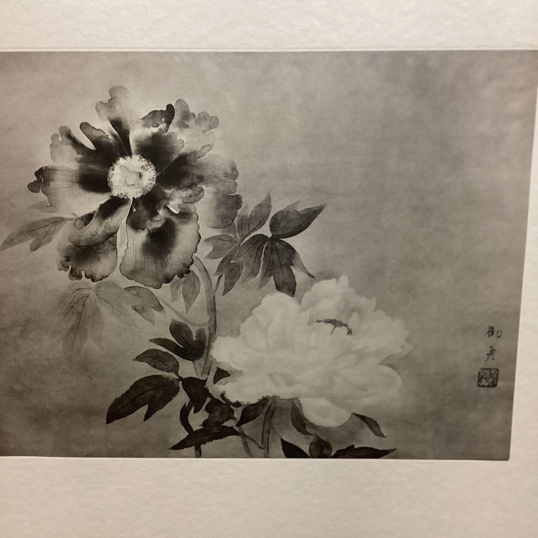 天才画家　速水御舟　作品集大作編　便利堂監修　NO 【50 牡丹双華】画集