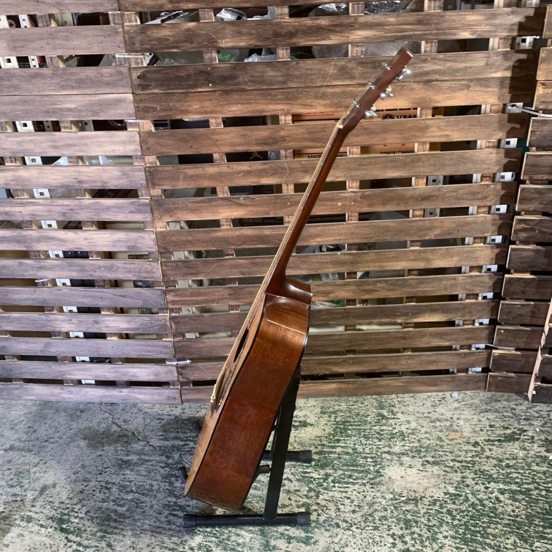 K278 Morris MD-502 アコースティックギター