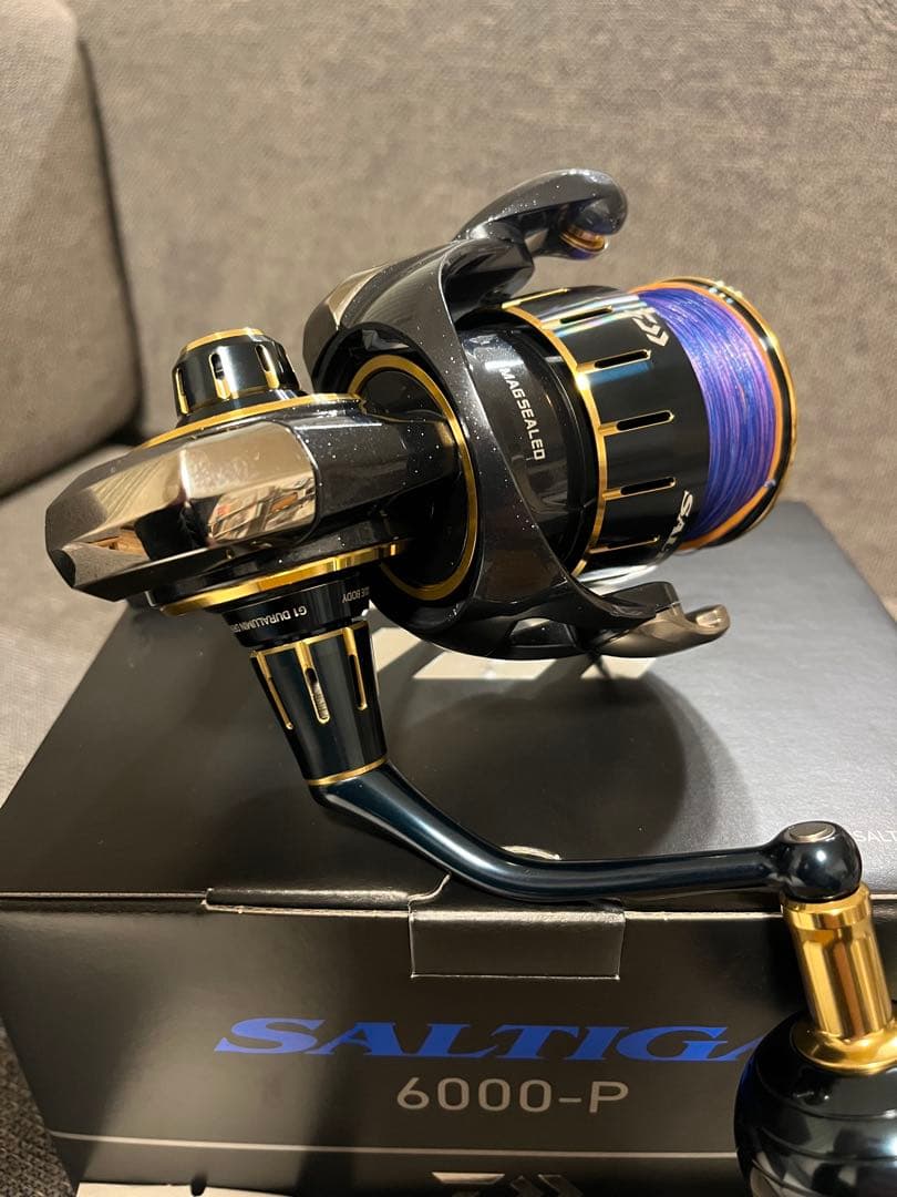 23ソルティガ6000-P(オーナーズサポート未登録)
