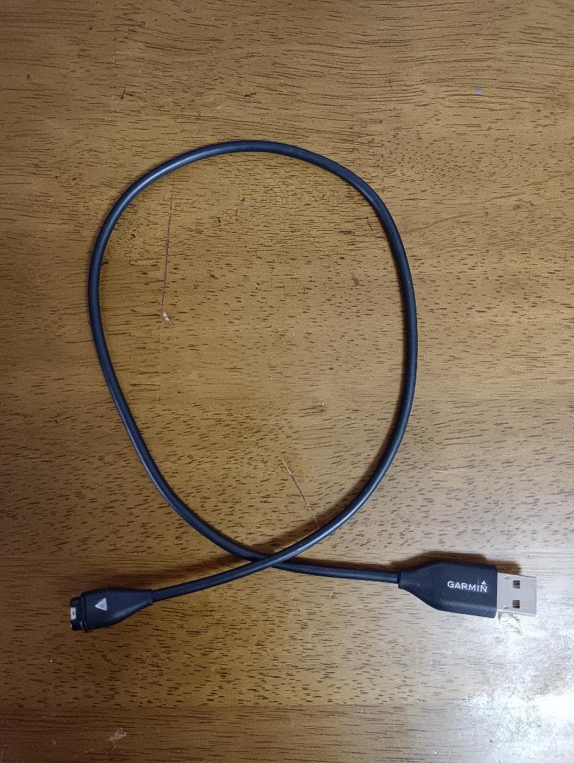 GARMIN Approach S40 GPSナビ