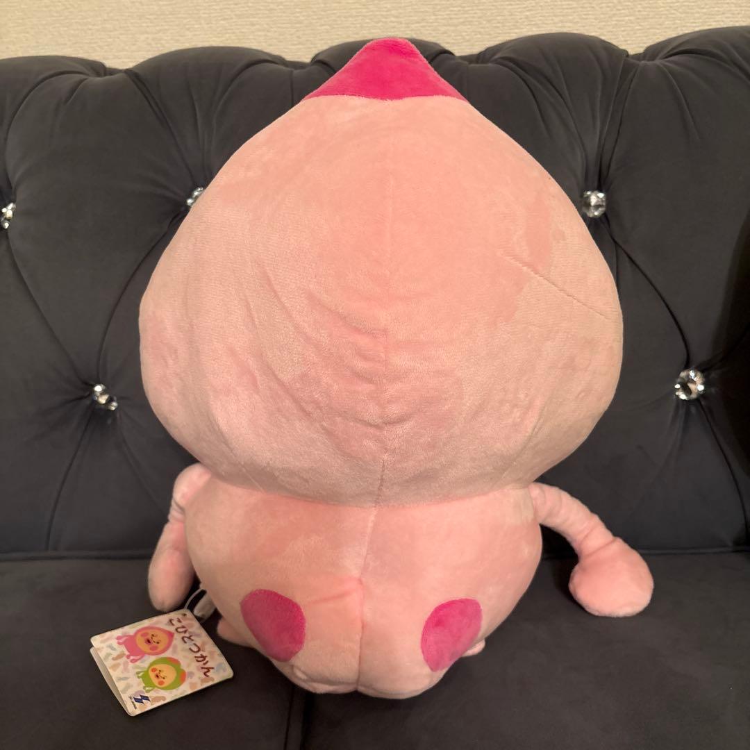 こびと図鑑ぬいぐるみ