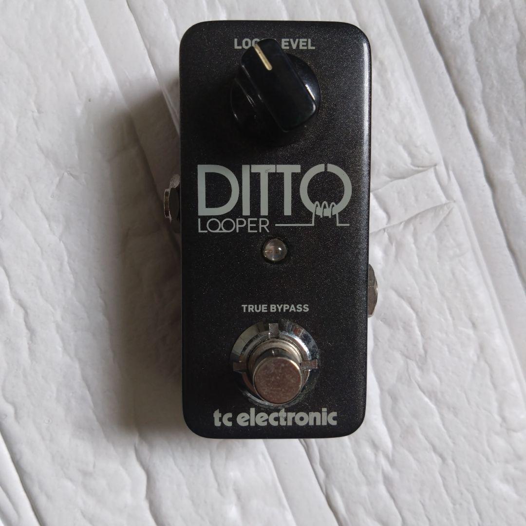 tc electronic DITTO LOOPER　エフェクター　ルーパー