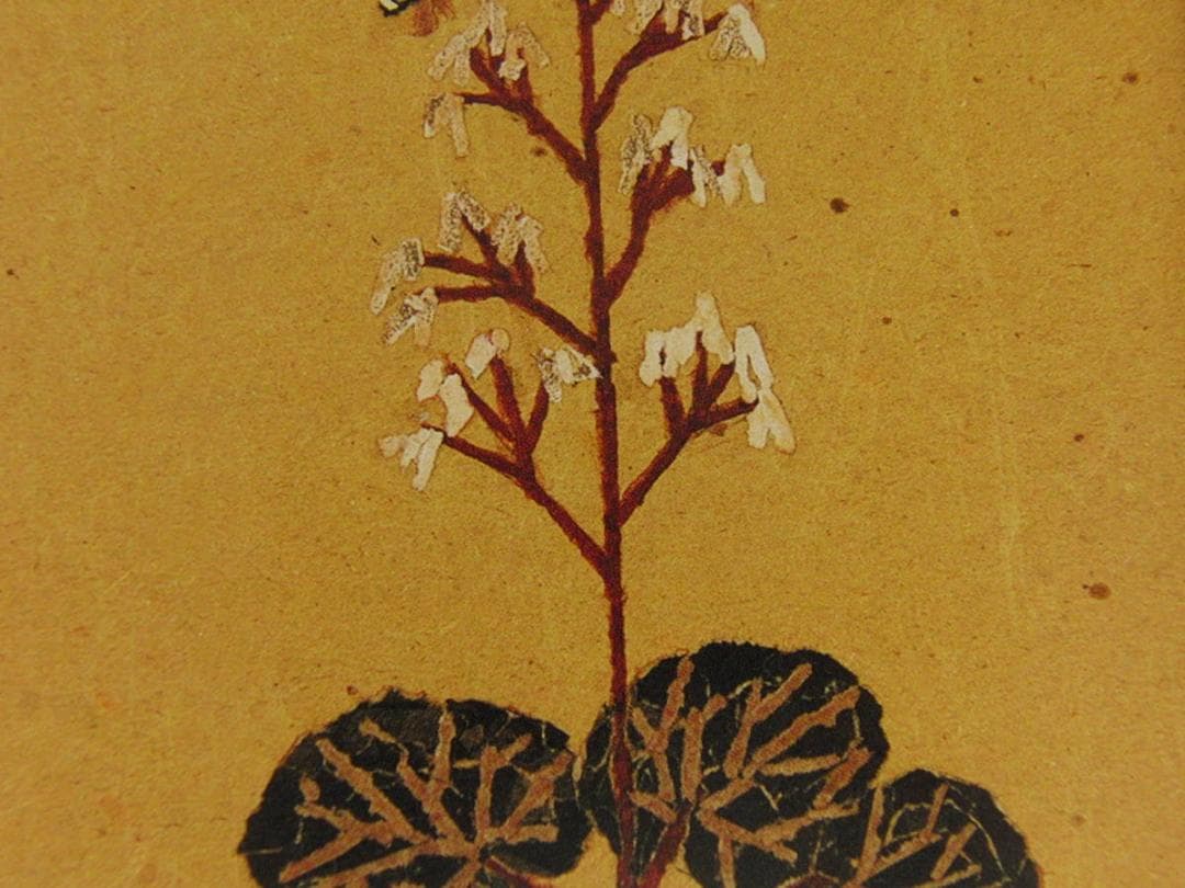 山下清、【ゆきのしたと蜂】、希少な額装用画集より、美品、日本人画家、新品額装付
