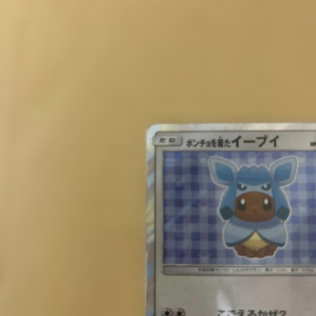 ポンチョを着たイーブイ