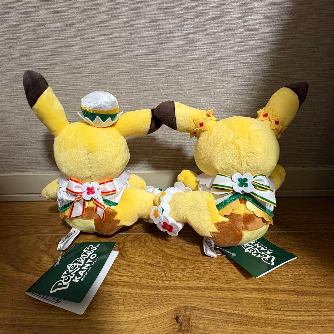 ポケパークカントー限定 ぬいぐるみ ピカチュウ イーブイ カーニバル 4枚セット
