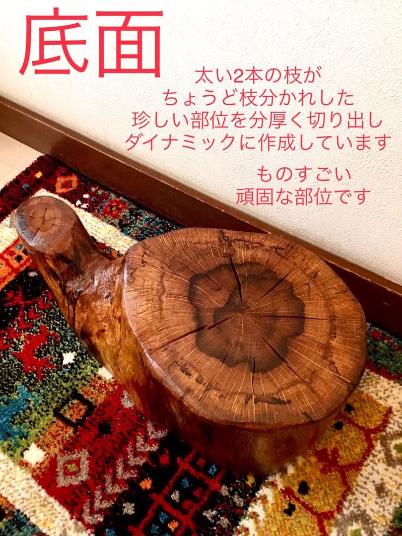 希少部位＊鮮やかな年輪ふたつ！天然楢【森と大自然の切り株ちゃぶ台】テーブル＊座卓