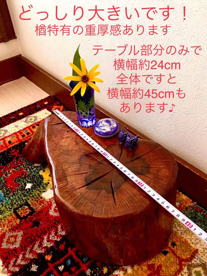 希少部位＊鮮やかな年輪ふたつ！天然楢【森と大自然の切り株ちゃぶ台】テーブル＊座卓