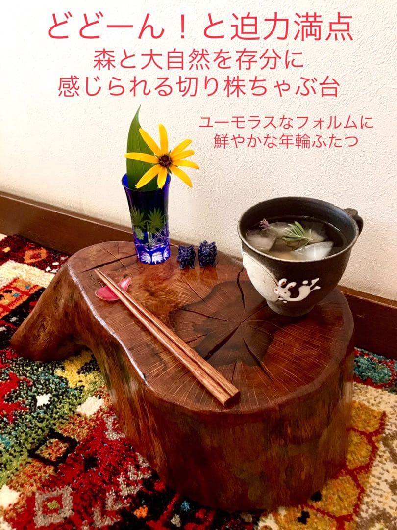 希少部位＊鮮やかな年輪ふたつ！天然楢【森と大自然の切り株ちゃぶ台】テーブル＊座卓