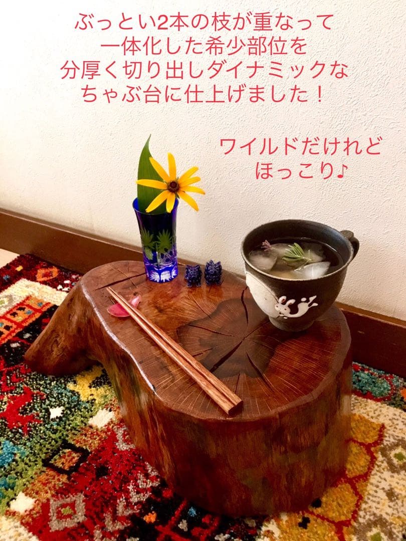 希少部位＊鮮やかな年輪ふたつ！天然楢【森と大自然の切り株ちゃぶ台】テーブル＊座卓