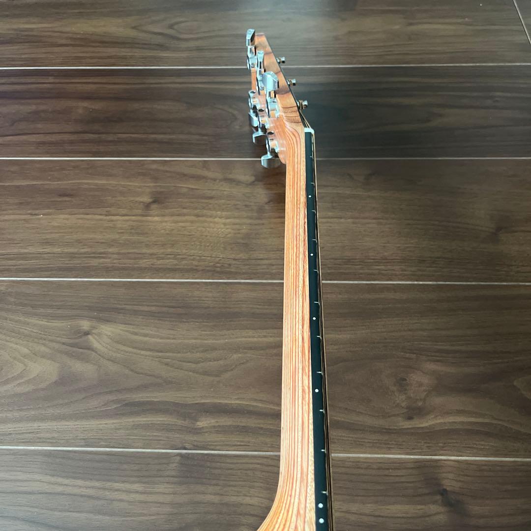 ギター Martin &Co EST.1833 GPCX1RAE