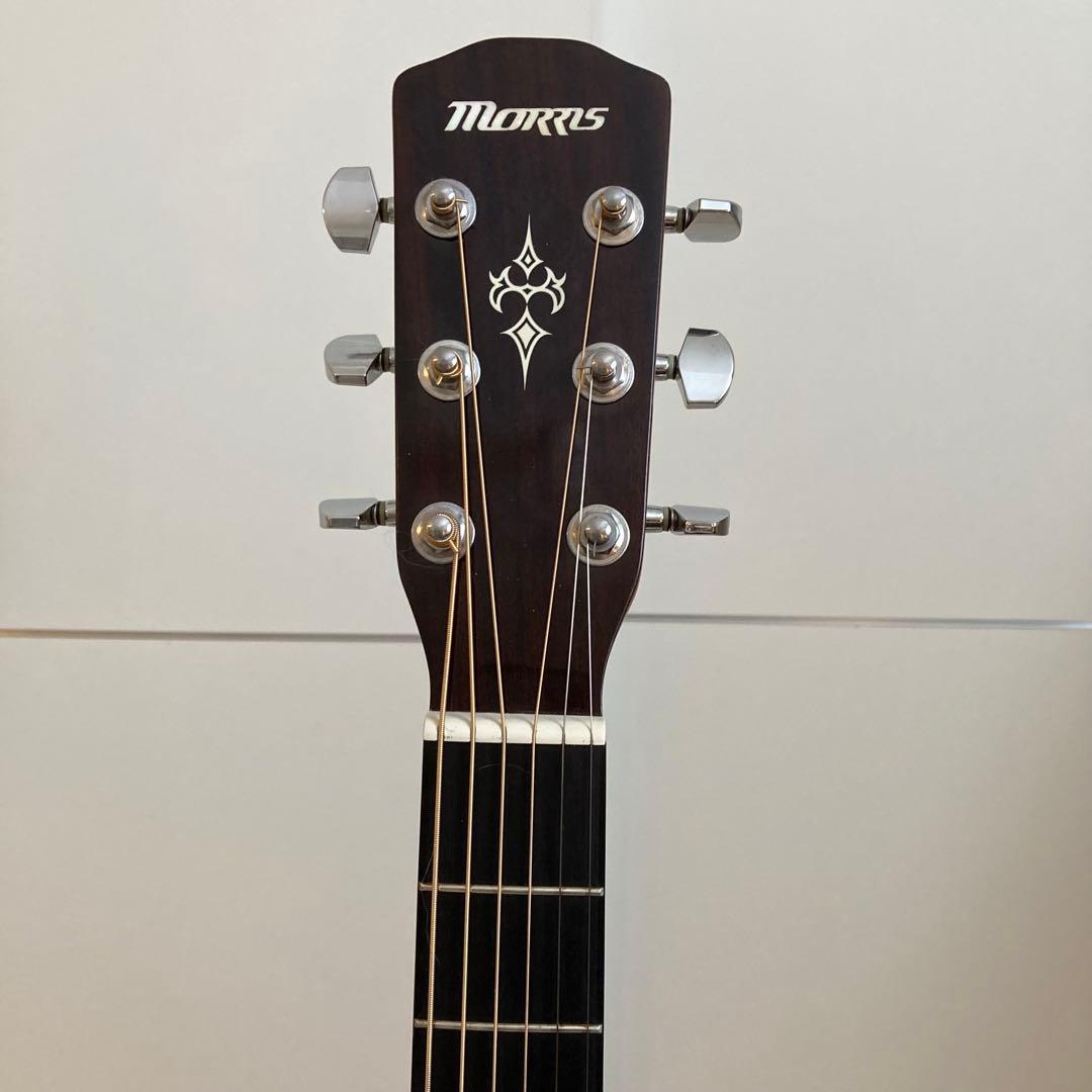 Morris F-351 cs アコースティックギター アコギ