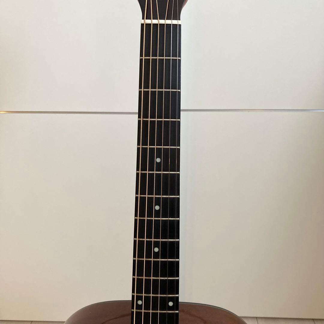 Morris F-351 cs アコースティックギター アコギ