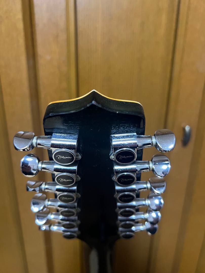 Takamine　NPT110-12　12弦Guitar ハードケース付き