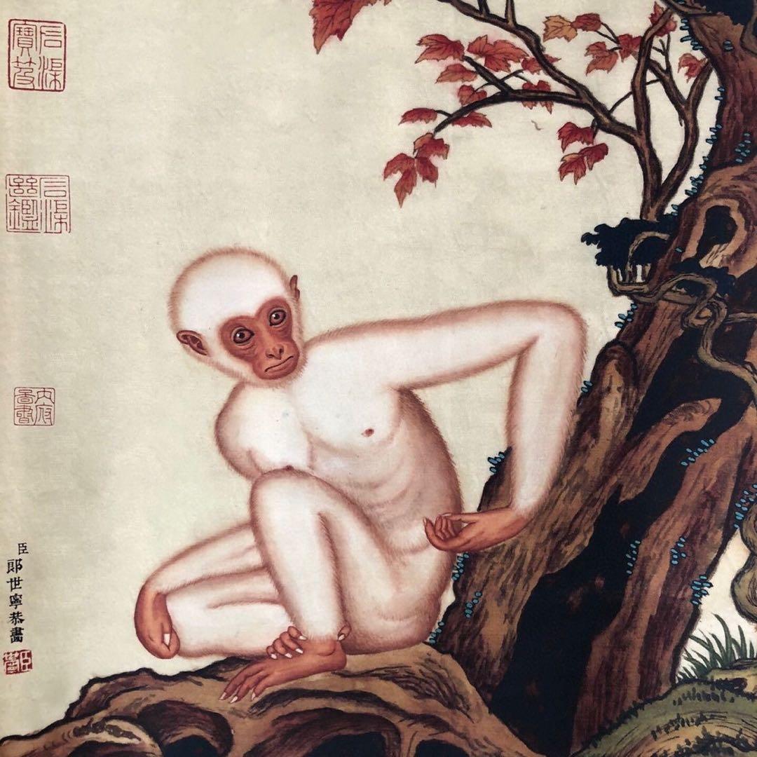 郎世宁 猿図 掛け軸｜三尺中堂｜十二生肖・申｜表装済み