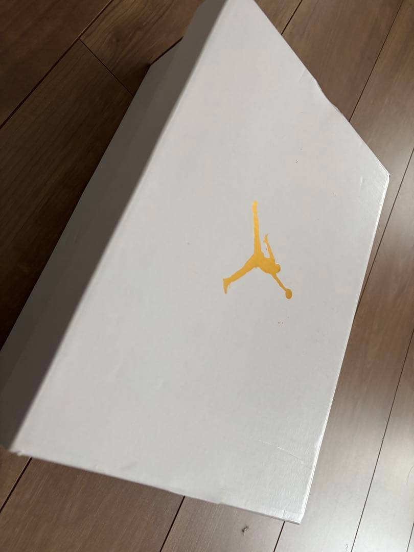 Nike Air Jordan 1 Low 28.5㎝　新品・未使用タグ付き