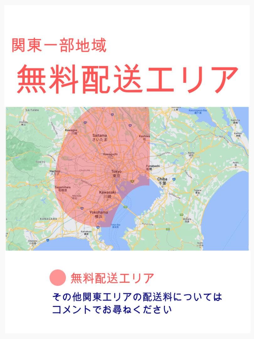 2023 ギュトクルーム 子供乗せ電動アシスト自転車 H3199