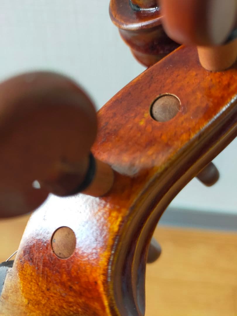 ヴァイオリン（a comtemporary violin）