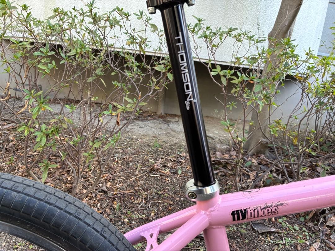 Flybikes Mosca 20インチ BMX