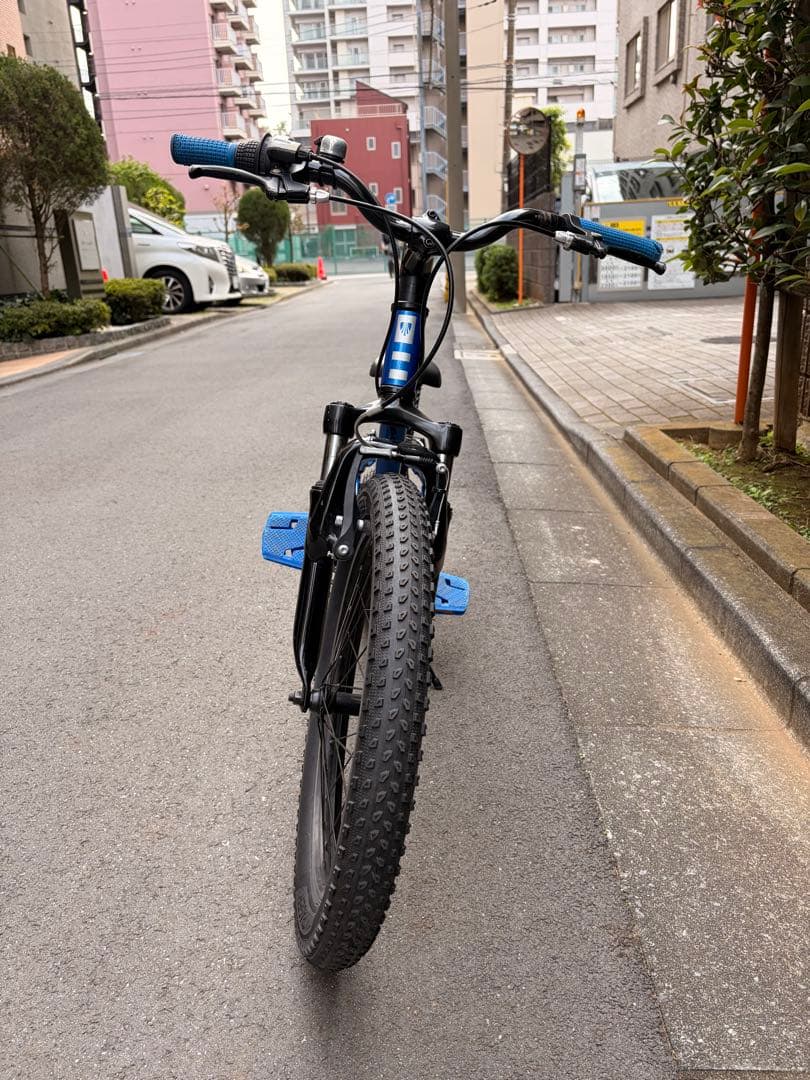 【直接引取り限定】　トレック　Trek Precaliber 20　ブルー