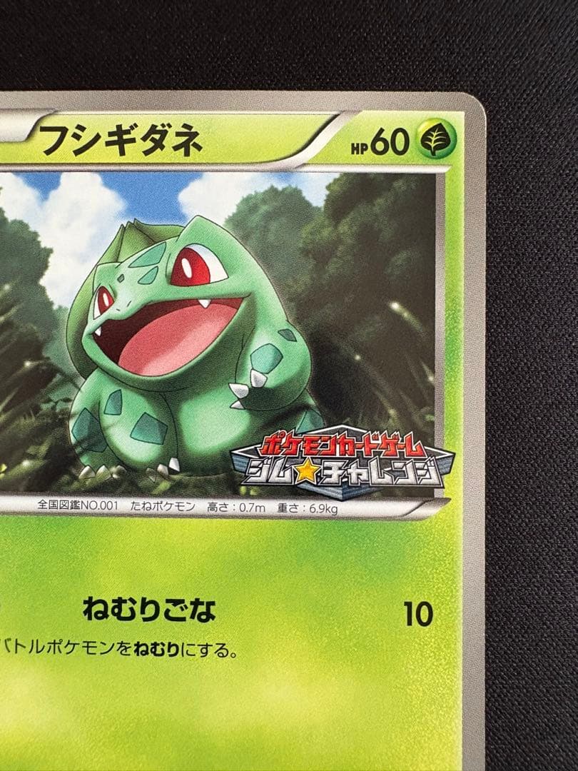 フシギダネ PROMO BW-Pプロモカード 124/BW-P