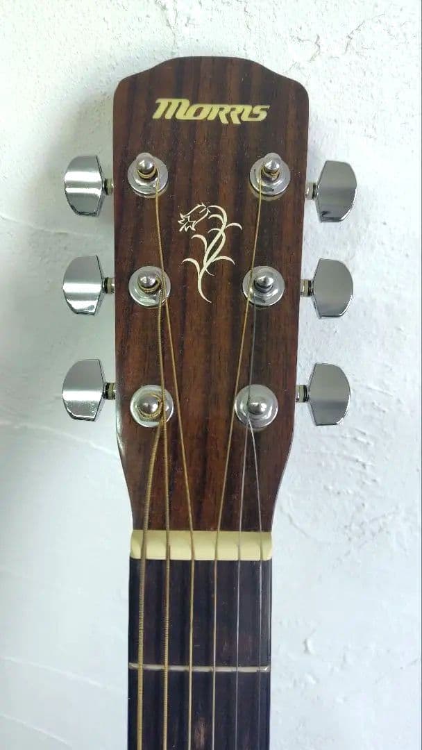 Morris モーリス F-12II NAT アコースティックギター