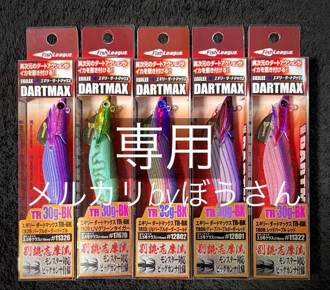 【LIFE KUN様】専用　ダートマックス　ティップン用エギ　新品5本セット