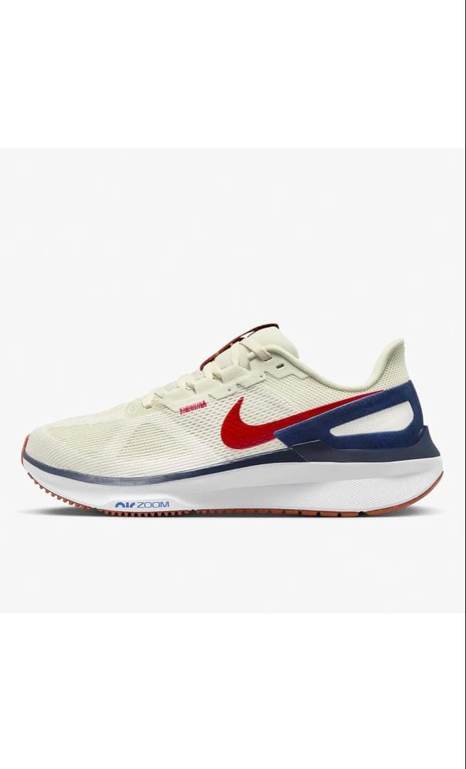 Nike ランニングシューズ 29cm