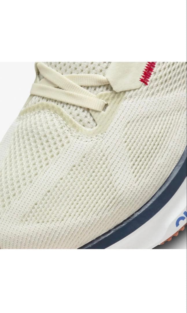 Nike ランニングシューズ 29cm