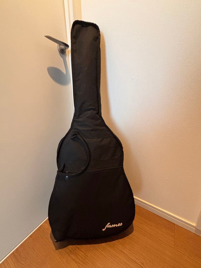 James J-500D OVANAT アコースティックギター