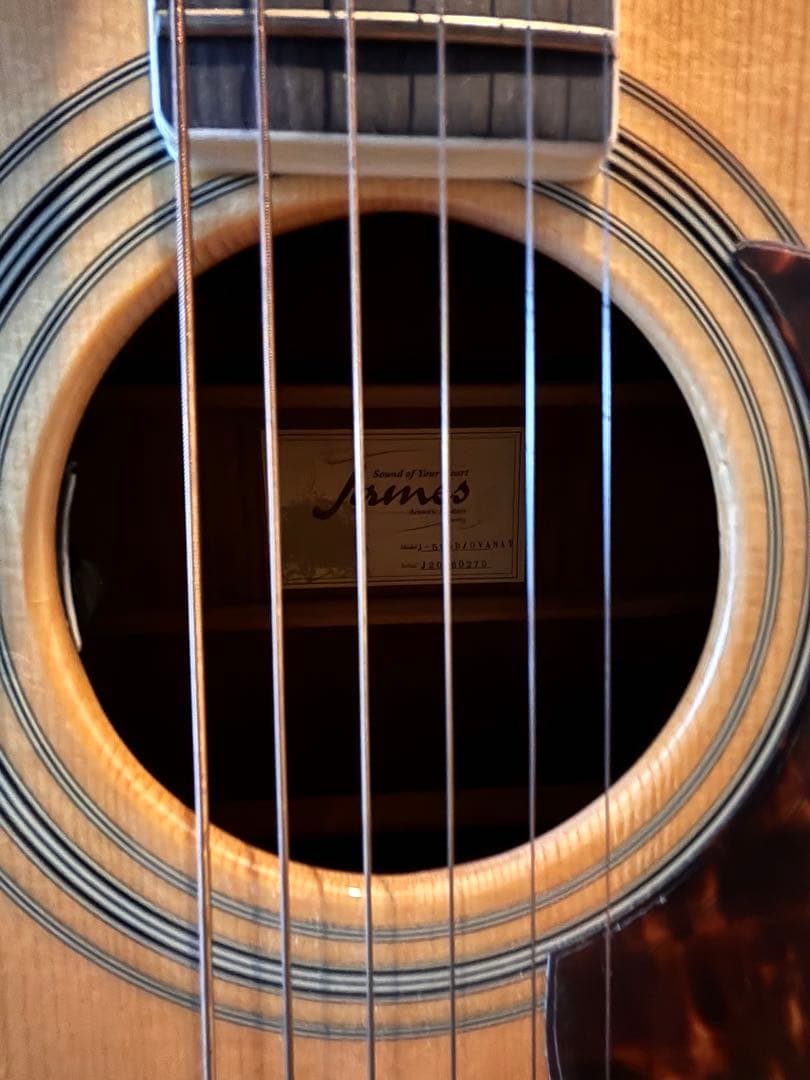 James J-500D OVANAT アコースティックギター
