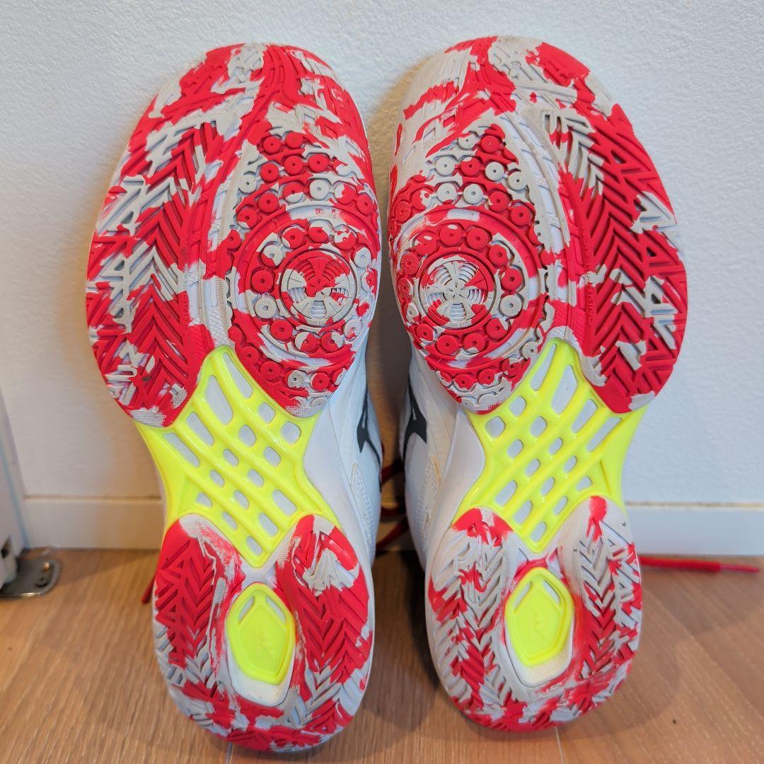 Mizuno WAVE CLAW 3 ウェーブクロー3 バドミントンシューズ