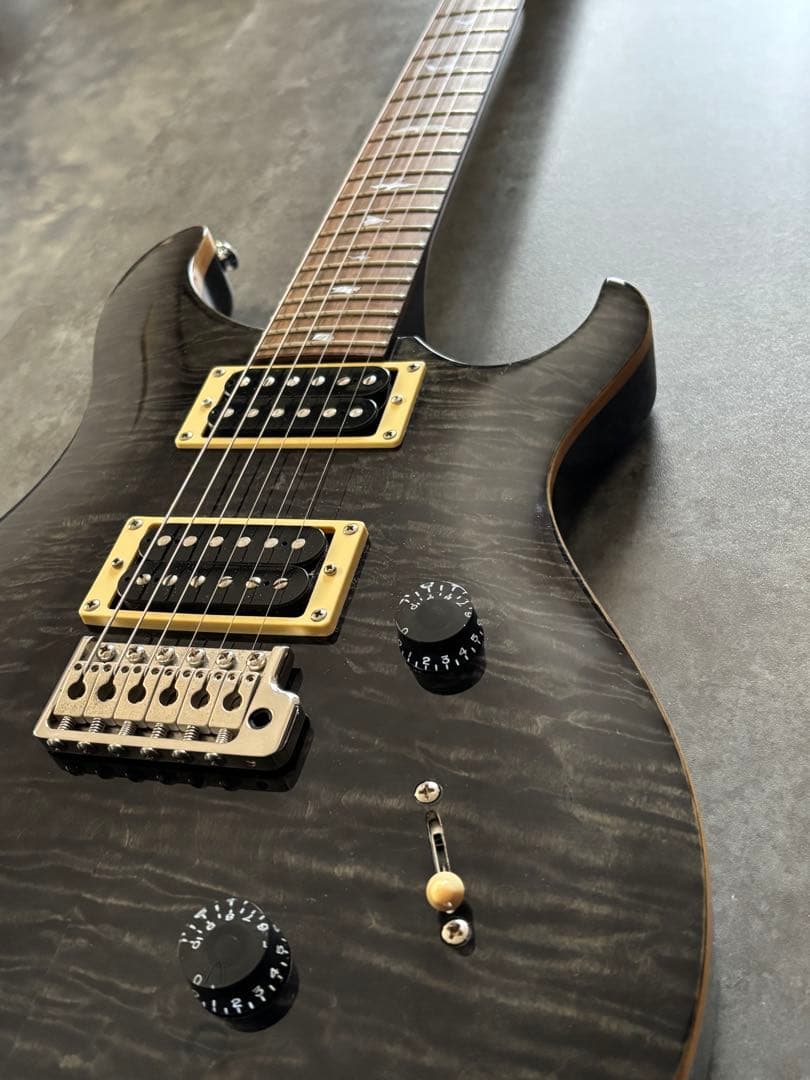 エレキギター　PRS SE custom 24