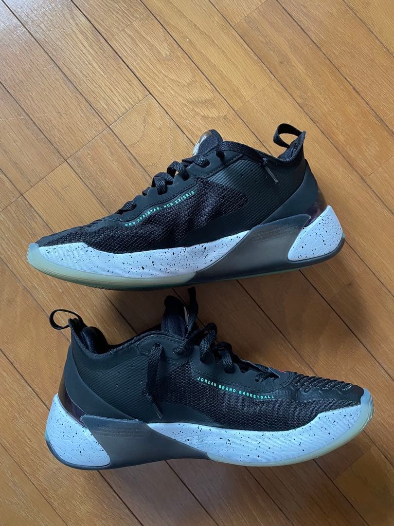 シューズ(男性用) JORDAN Luka1 PF