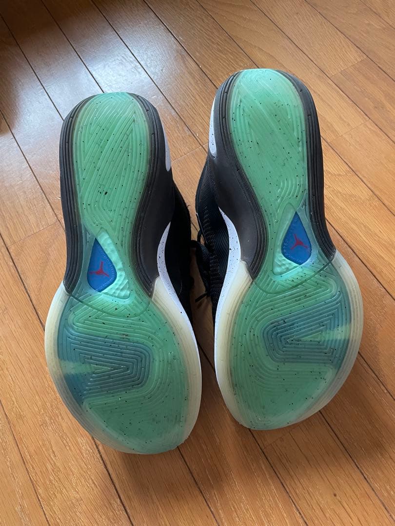 シューズ(男性用) JORDAN Luka1 PF