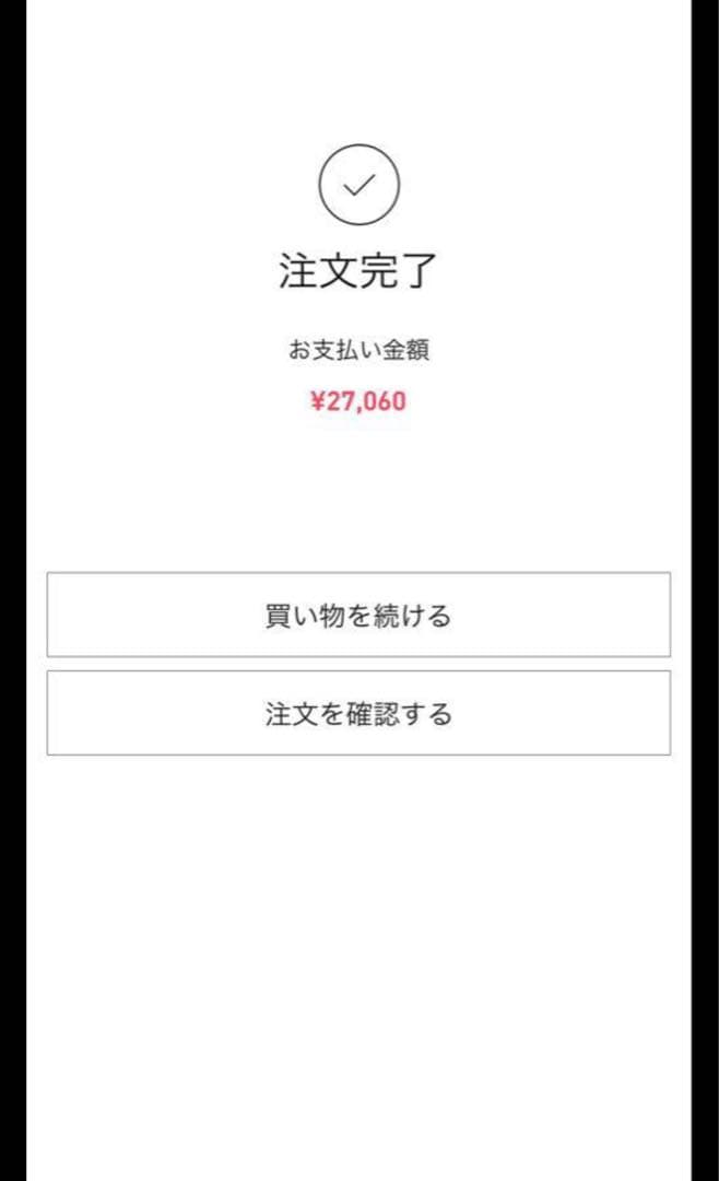 【正規品・未開封】Labubu Big into Energy 6箱