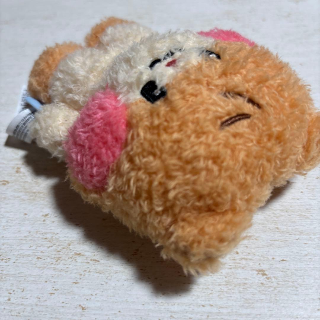 ZEROBASEONE zeroni ぬいぐるみ ビニニ トレカなし