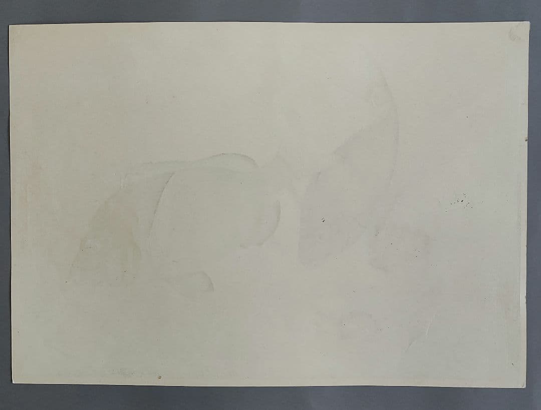 大野麦風　木版画「クロダイ」 大日本魚類画集　 新版画