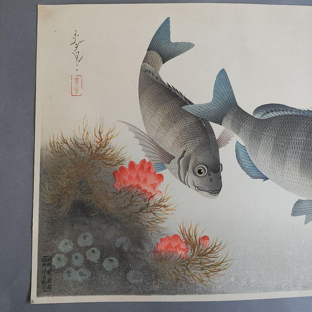 大野麦風　木版画「クロダイ」 大日本魚類画集　 新版画