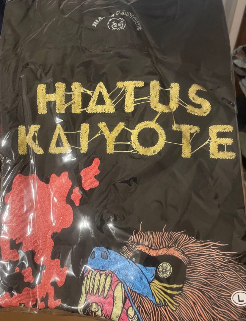 Hiatus Kaiyote ロンT サイズL