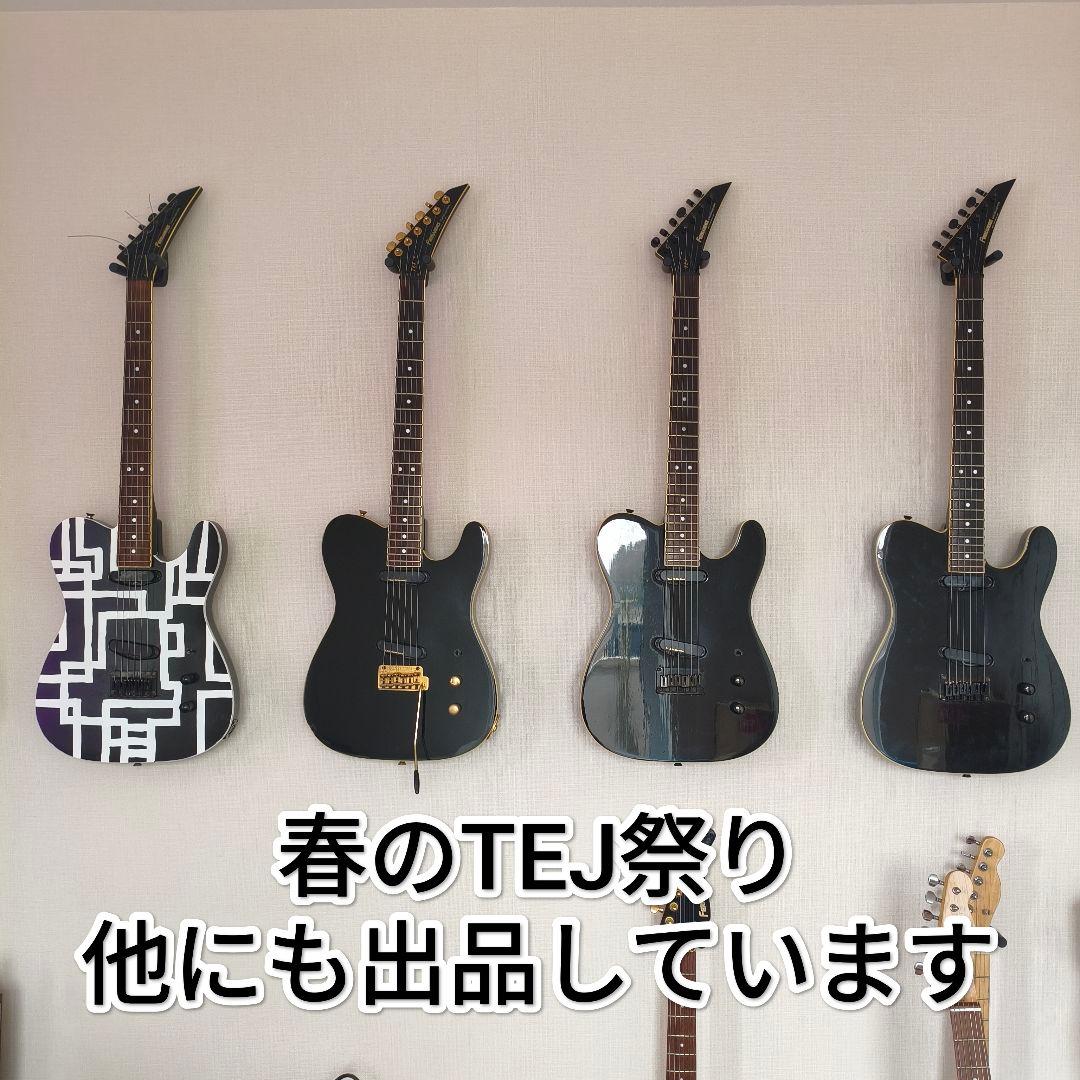 Fernandes TEJ-改　布袋モデル　G柄自作ペイント