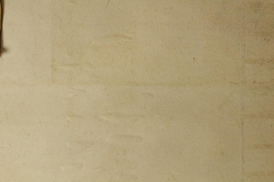 小林行雄筆 美人図「涼風」夏軸 共箱 保証(K-YC643)