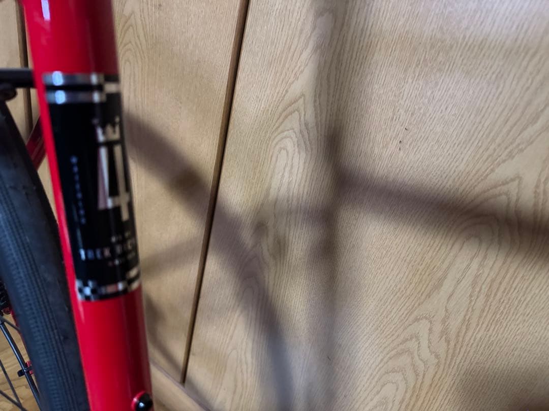 新型　2024年　TREK DOMANE AL4