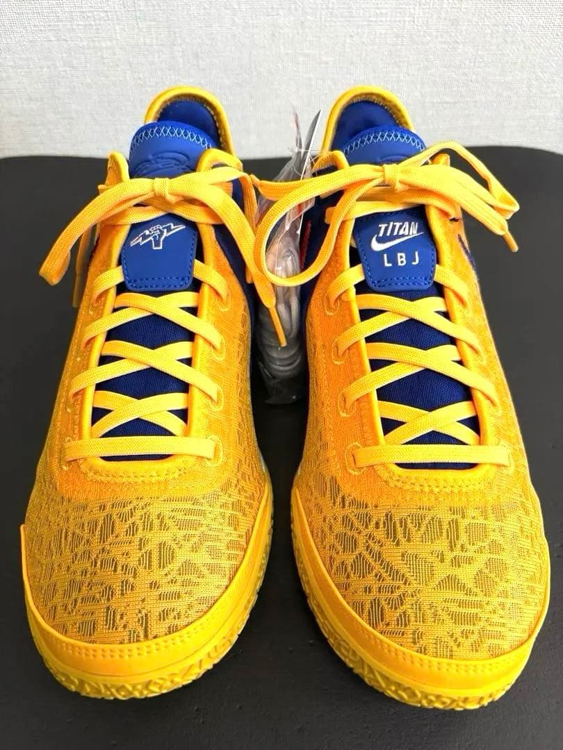 シューズ(男性用) NIKE ZOOM LEBRON NXXT GEN TITAN EP 28cm