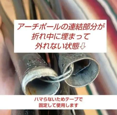 Coleman パーティーシェード360 ライムグリーン
